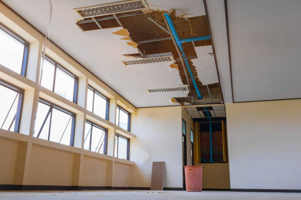  Otterbe, IN Water damage restoration Pros