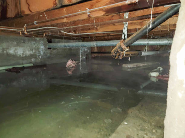 Local water damage restoration in Otterbein, IN