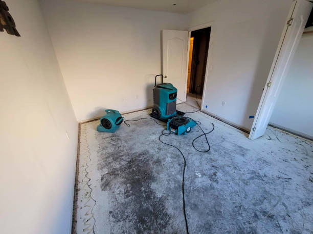 Best Flood restoration services  in Otterbe, IN