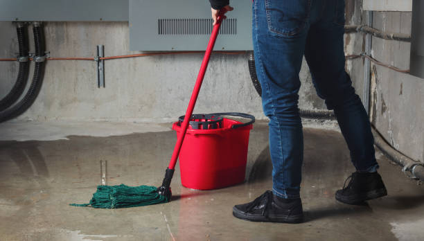 Best Flooded house restoration  in Otterbe, IN
