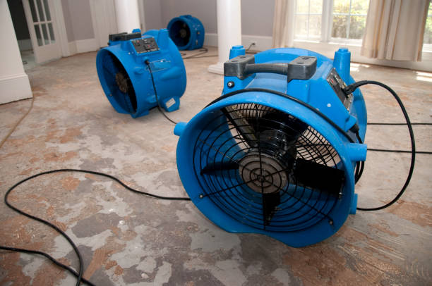 Best Water damage cleanup near me  in Otterbe, IN