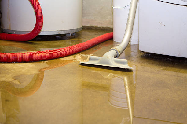 Best Mold removal after water damage  in Otterbe, IN