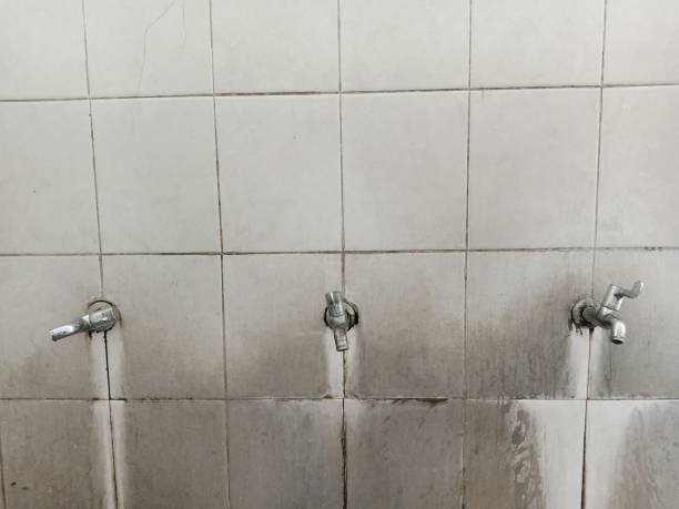 Best 24-hour water damage restoration  in Otterbe, IN