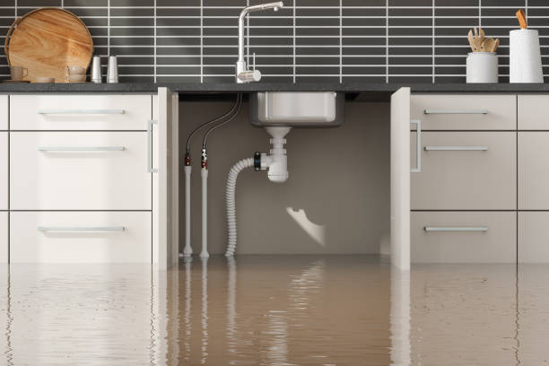 Best Flood damage cleanup  in Otterbe, IN