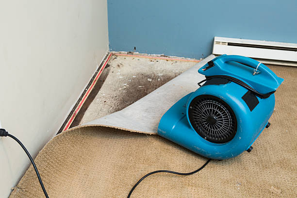Professional Water damage restoration in Otterbein, IN